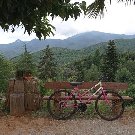 Apartamento Con Jardin, Barbacoa Y Piscina En Pleno Montseny Mas Romeu Turisme Rural Pension Arbúcies Buitenkant foto