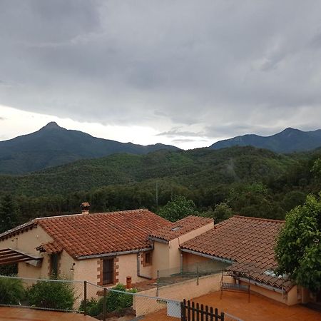 Apartamento Con Jardin, Barbacoa Y Piscina En Pleno Montseny Mas Romeu Turisme Rural Pension Arbúcies Buitenkant foto