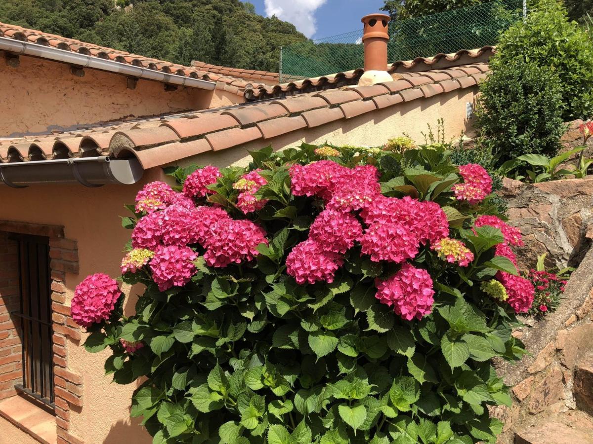 Apartamento Con Jardin, Barbacoa Y Piscina En Pleno Montseny Mas Romeu Turisme Rural Pension Arbúcies Buitenkant foto