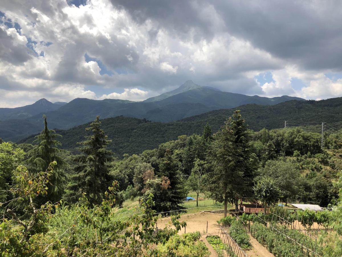 Apartamento Con Jardin, Barbacoa Y Piscina En Pleno Montseny Mas Romeu Turisme Rural Pension Arbúcies Buitenkant foto