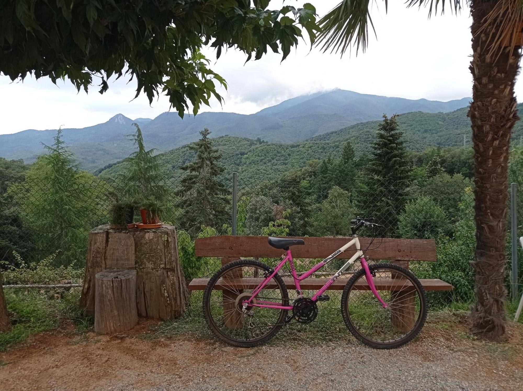 Apartamento Con Jardin, Barbacoa Y Piscina En Pleno Montseny Mas Romeu Turisme Rural Pension Arbúcies Buitenkant foto