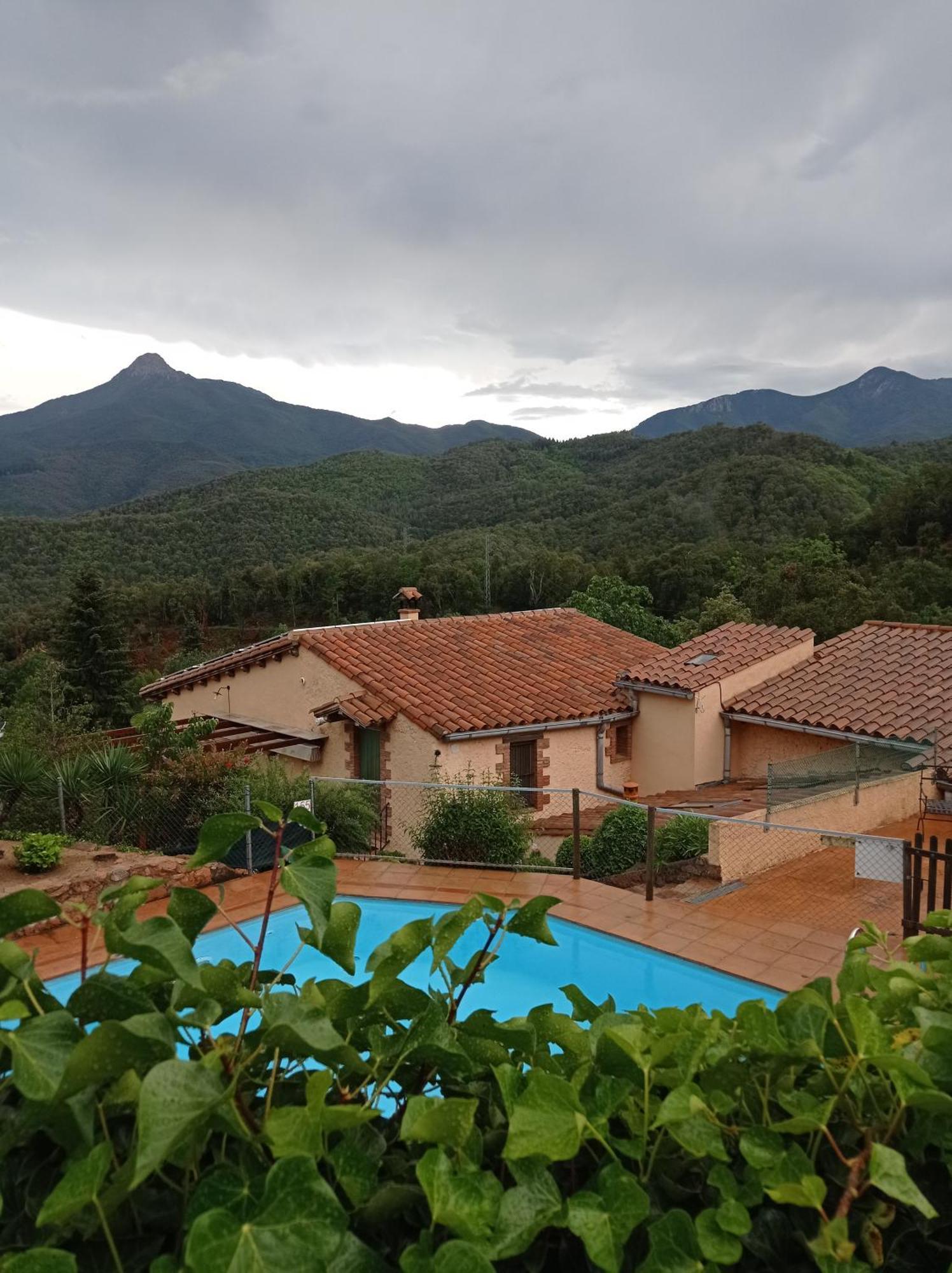 Apartamento Con Jardin, Barbacoa Y Piscina En Pleno Montseny Mas Romeu Turisme Rural Pension Arbúcies Buitenkant foto