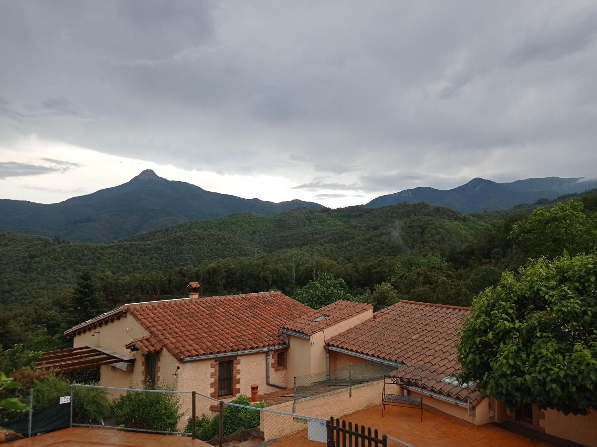 Apartamento Con Jardin, Barbacoa Y Piscina En Pleno Montseny Mas Romeu Turisme Rural Pension Arbúcies Buitenkant foto