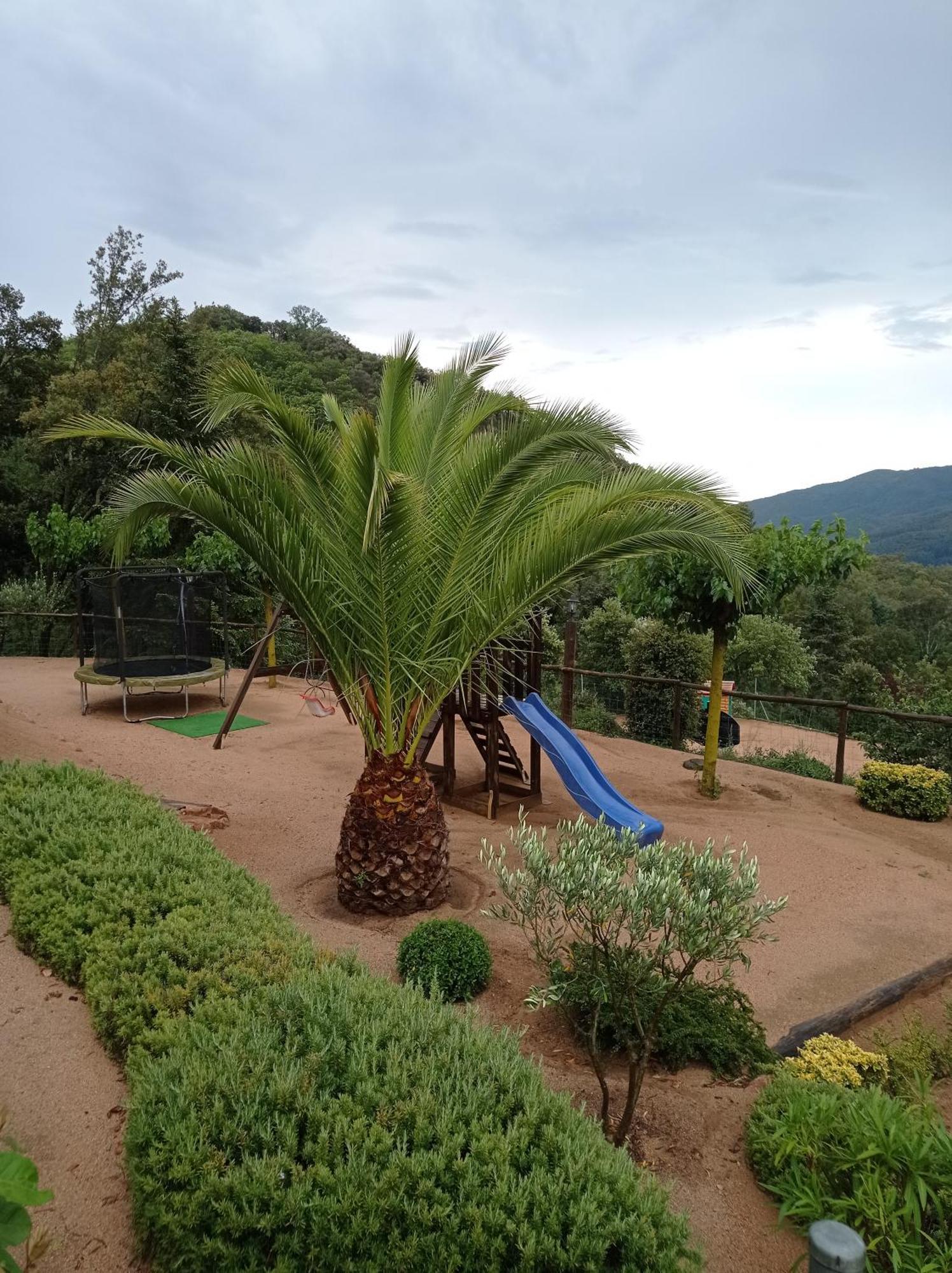 Apartamento Con Jardin, Barbacoa Y Piscina En Pleno Montseny Mas Romeu Turisme Rural Pension Arbúcies Buitenkant foto