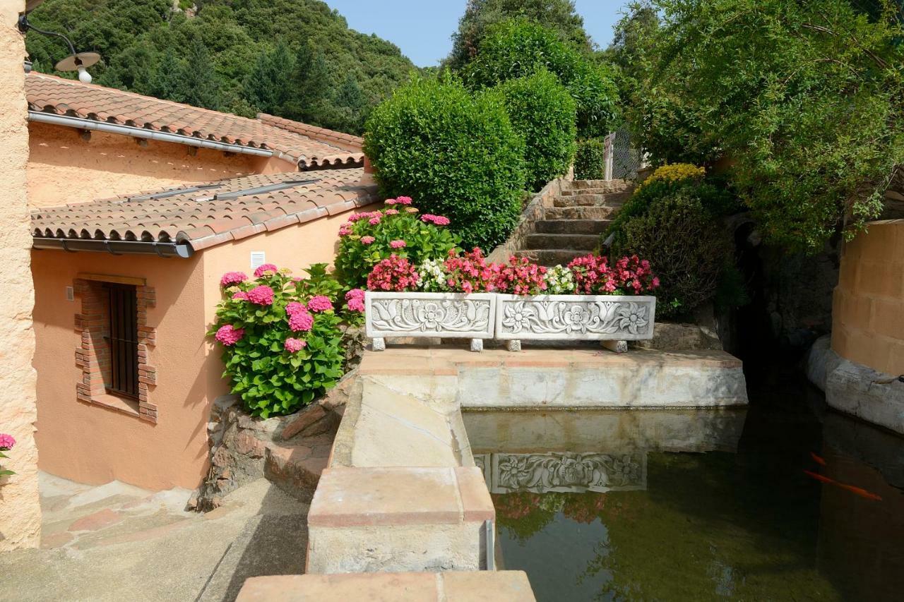 Apartamento Con Jardin, Barbacoa Y Piscina En Pleno Montseny Mas Romeu Turisme Rural Pension Arbúcies Buitenkant foto