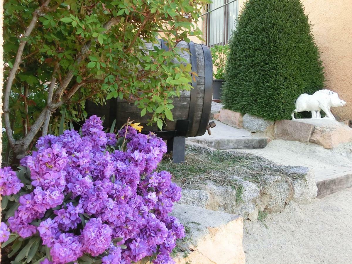 Apartamento Con Jardin, Barbacoa Y Piscina En Pleno Montseny Mas Romeu Turisme Rural Pension Arbúcies Buitenkant foto