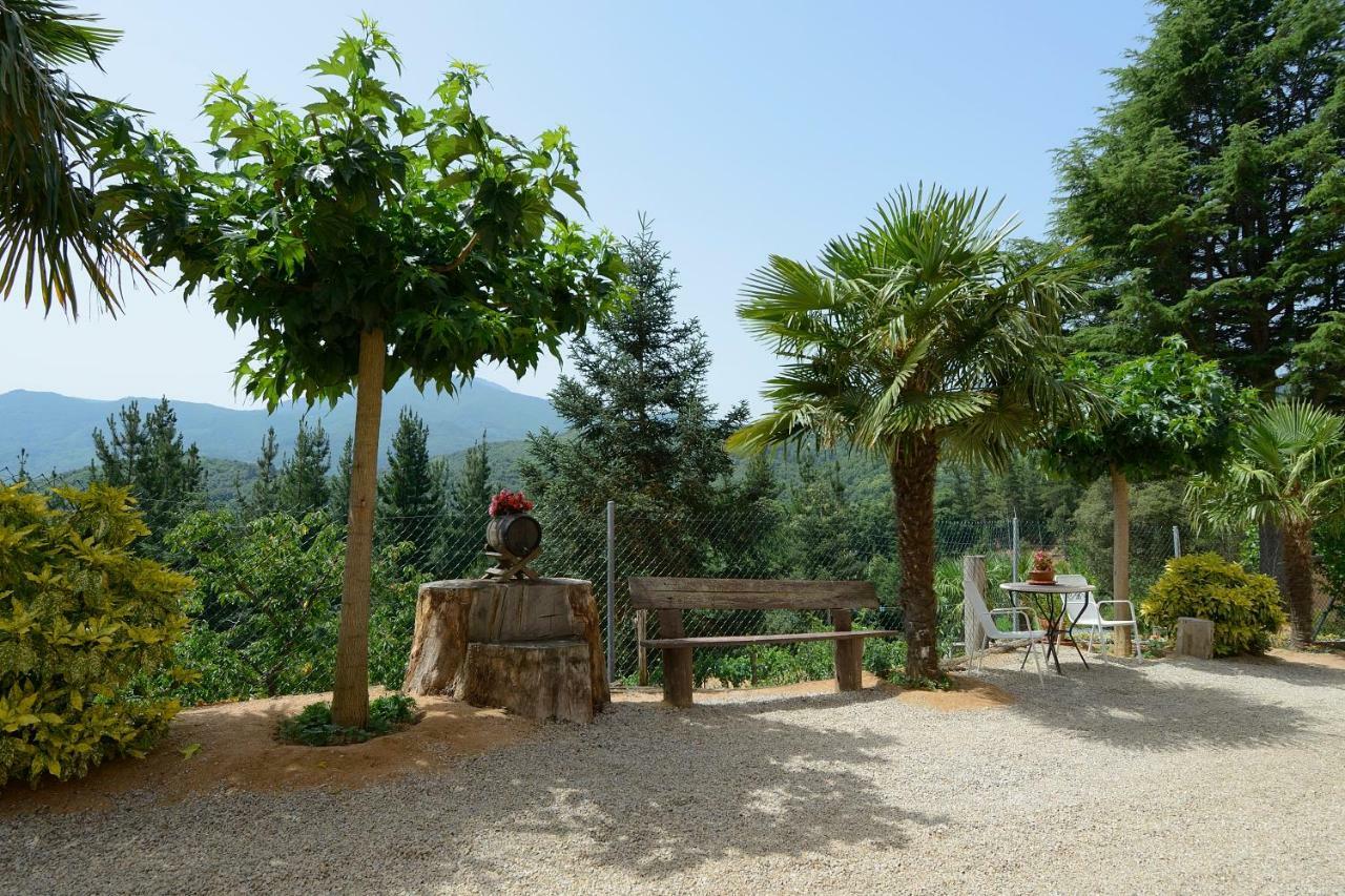 Apartamento Con Jardin, Barbacoa Y Piscina En Pleno Montseny Mas Romeu Turisme Rural Pension Arbúcies Buitenkant foto