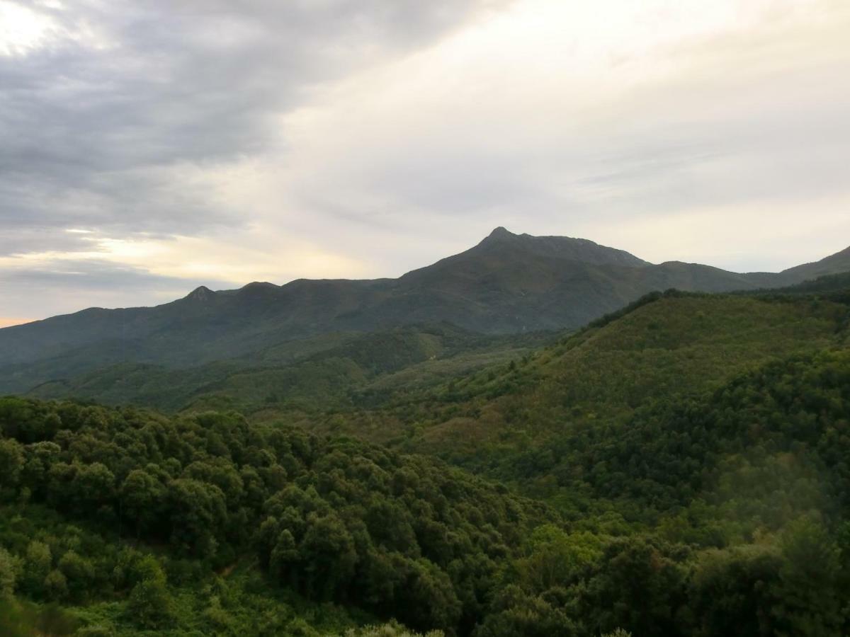 Apartamento Con Jardin, Barbacoa Y Piscina En Pleno Montseny Mas Romeu Turisme Rural Pension Arbúcies Buitenkant foto