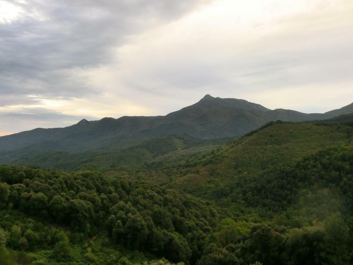 Apartamento En Pleno Montseny Mas Romeu Turisme Rural Arbúcies Buitenkant foto