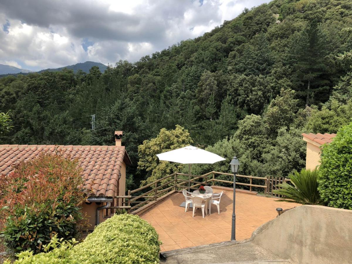 Apartamento Con Jardin, Barbacoa Y Piscina En Pleno Montseny Mas Romeu Turisme Rural Pension Arbúcies Buitenkant foto